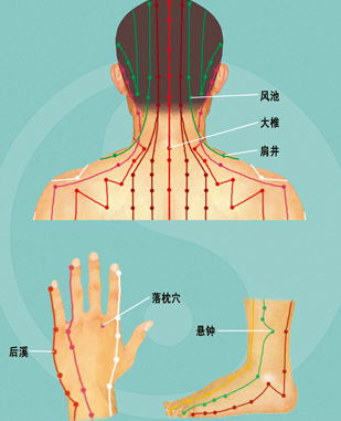 风池eth(风池准确位置图片视频)